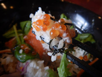 �K�X�g �k�C���₱���͂�`�T�[�����E������ƍ�����