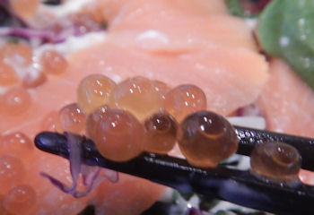 �K�X�g �k�C���₱���͂�`�T�[�����E������ƍ�����