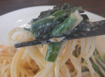 �K�X�g �T�[���� �X�p�Q�e�B