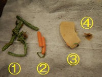 �K�X�g ���R�����؏`