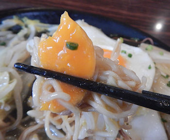 �K�X�g �����ƊC�V�̂��񂩂��S�Ă�����