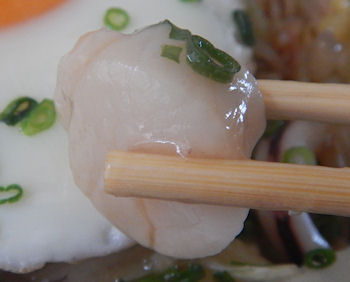 �K�X�g �C�V�Ƃ����̊C�N���񂩂��Ă�����