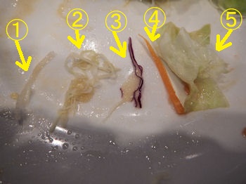 �K�X�g �X�N�����u���G�b�O