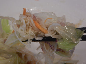 �K�X�g �X�N�����u���G�b�O