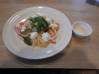 �K�X�g �C�V�����x�[�R���̃N���[���X�p�Q�e�B