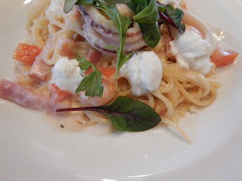 �K�X�g �C�V�����x�[�R���̃N���[���X�p�Q�e�B