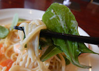 �K�X�g �C�V�����x�[�R���̃N���[���X�p�Q�e�B