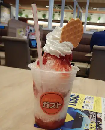 �K�X�g�@�����X