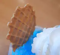 �K�X�g�@�����X