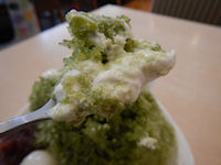 �K�X�g �����X