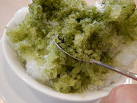 �K�X�g �����X