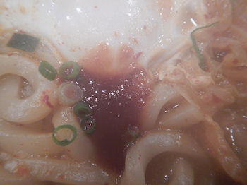 �K�X�g �C�V��������񂲂Ɣ��؃L���`�̃`�Q