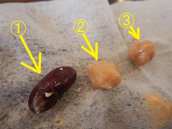 �K�X�g �C�V�Ƃ����̃V�[�t�[�h�T���_