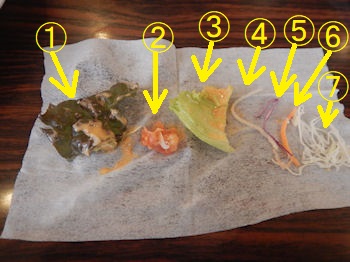 �K�X�g �C�V�Ƃ����̃V�[�t�[�h�T���_