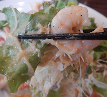 �K�X�g �C�V�Ƃ����̃V�[�t�[�h�T���_