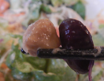 �K�X�g �C�V�Ƃ����̃V�[�t�[�h�T���_