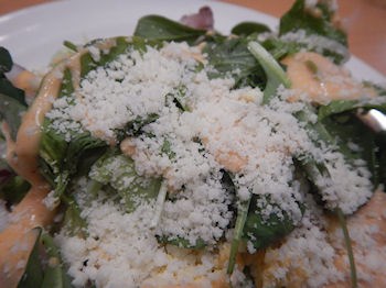 �K�X�g �C�V�Ƃ����̃V�[�t�[�h�T���_