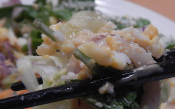 �K�X�g �C�V�Ƃ����̃V�[�t�[�h�T���_