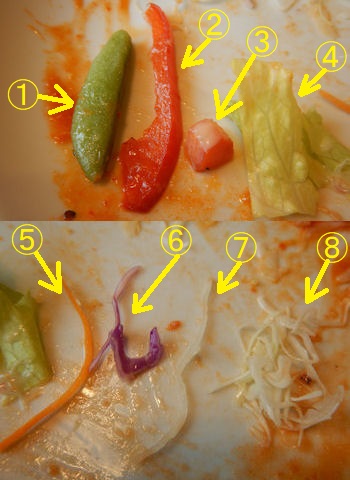 �K�X�g �C�V�`���Ƃ낽�܃I�����C�X