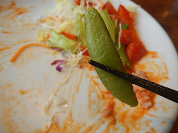 �K�X�g �C�V�`���Ƃ낽�܃I�����C�X