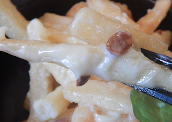 �K�X�g �C�V�}���|�e�g