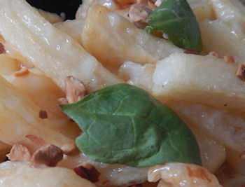 �K�X�g �C�V�}���|�e�g