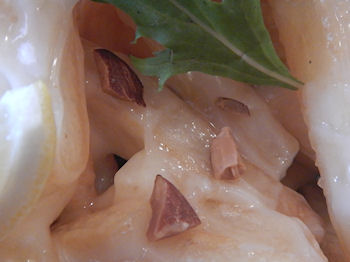 �K�X�g �C�V�}���|�e�g