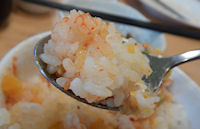 �K�X�g ���܂�