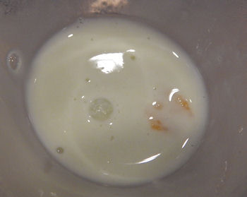 �K�X�g �\�t�g�N���[��