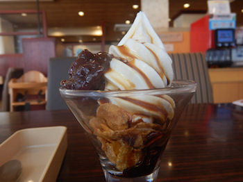 �K�X�g �\�t�g�N���[��