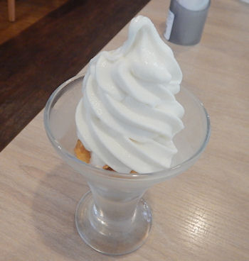 �K�X�g �\�t�g�N���[��