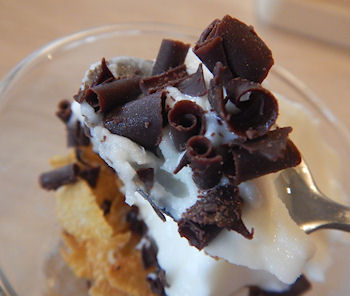 �K�X�g �\�t�g�N���[��