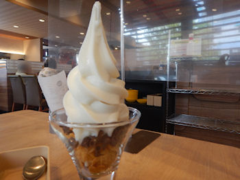 �K�X�g �\�t�g�N���[��