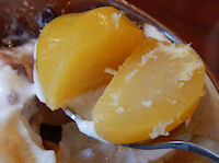 �K�X�g �\�t�g�N���[��