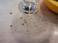 �K�X�g �\�t�g�N���[�� �������т���