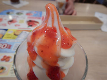 �K�X�g �\�t�g�N���[���E�X�g���x���[�\�[�X