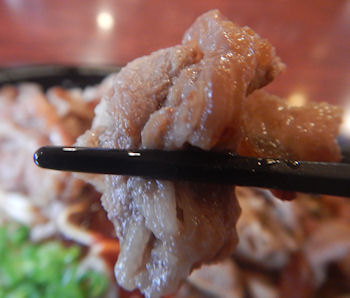 �K�X�g �Ðh����̋��J���r�Ă�