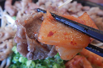 �K�X�g �Ðh����̋��J���r�Ă�