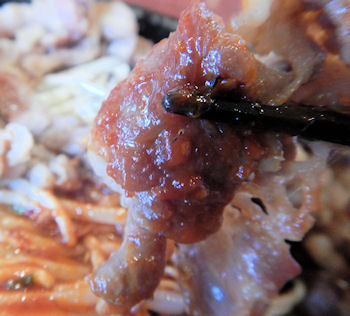 �K�X�g �Ðh����̋��J���r�Ă�