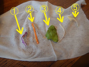 �K�X�g ���J���r�Ă��o�[�K�[