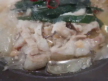 �K�X�g ������������