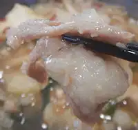 �K�X�g ������������