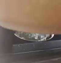 �K�X�g ������������