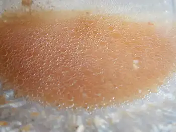 �K�X�g ������������