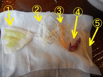 �K�X�g �X�e�[�L��