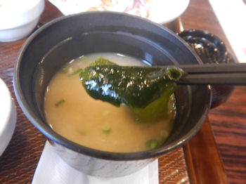 �K�X�g �X�e�[�L��