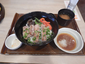 �K�X�g �X�e�[�L��