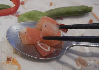 �K�X�g �����u���[�X�X�e�[�L���͂�