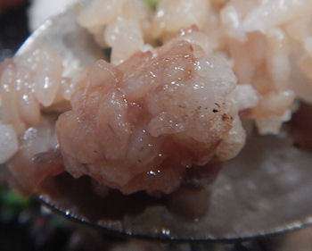 �K�X�g �r�[�t�X�e�[�L���S�Ă����͂�