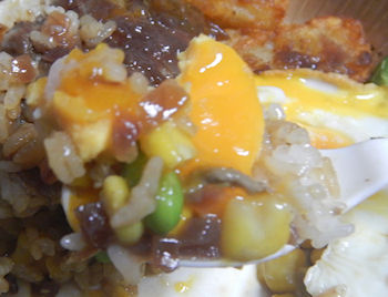 �K�X�g �r�[�t�X�e�[�L���S�Ă����͂�